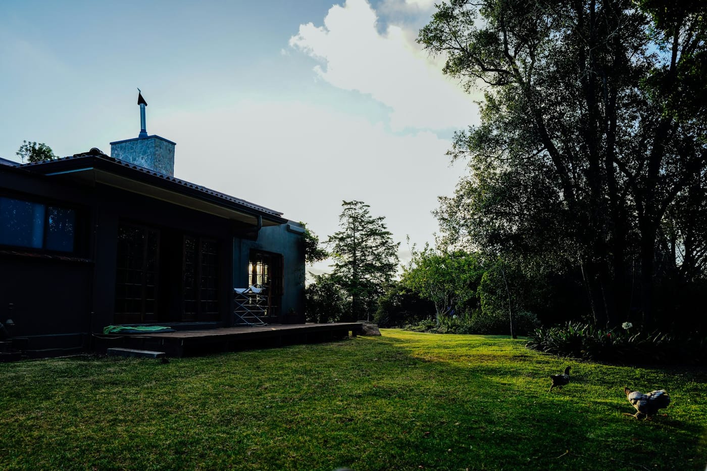 Professionally maintained lawn