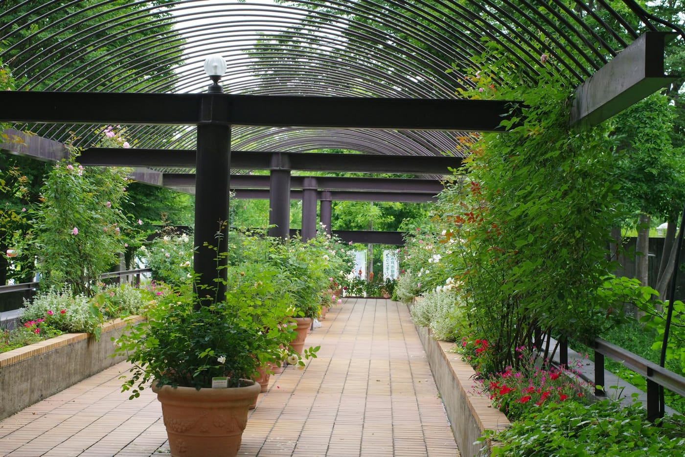 Walkway Pressure Wash
